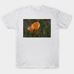 850_6111 T-Shirt